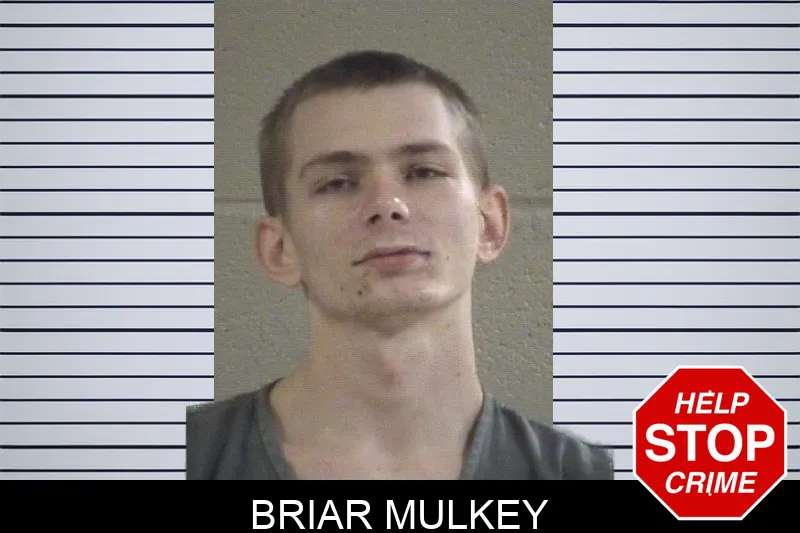 Briar Mulkey Mugshots