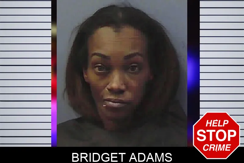 Bridget Adams Mugshots