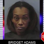 Bridget Adams Mugshots