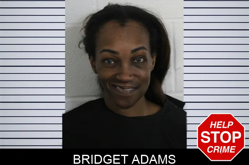 Bridget Adams Mugshots
