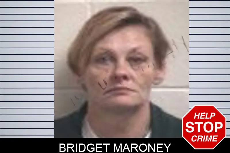 Bridget Maroney Mugshots