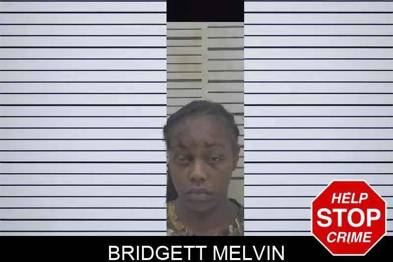 Bridgett Melvin mugshot