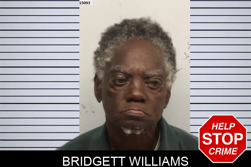 Bridgett Williams Mugshots