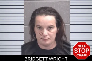 Bridgett Wright mugshot