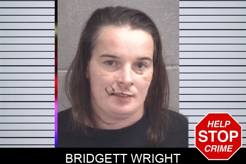 Bridgett Wright Mugshots