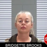 Bridgette Brooks Mugshots