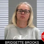 Bridgette Brooks Mugshots
