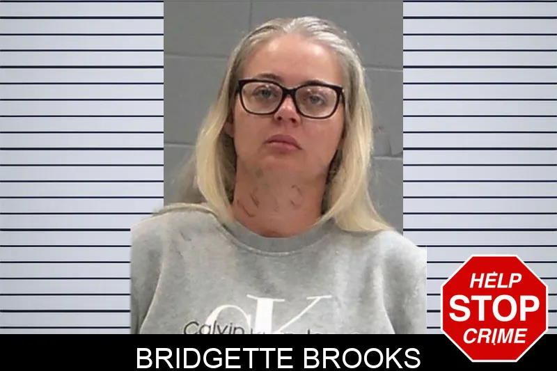 Bridgette Brooks Mugshots