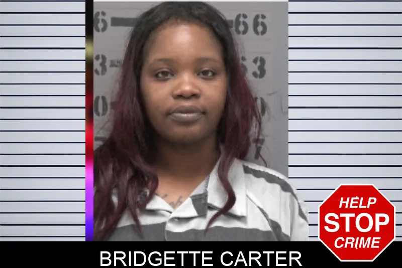 Bridgette Carter Mugshots