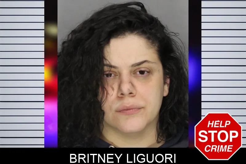 Britney Liguori Mugshots