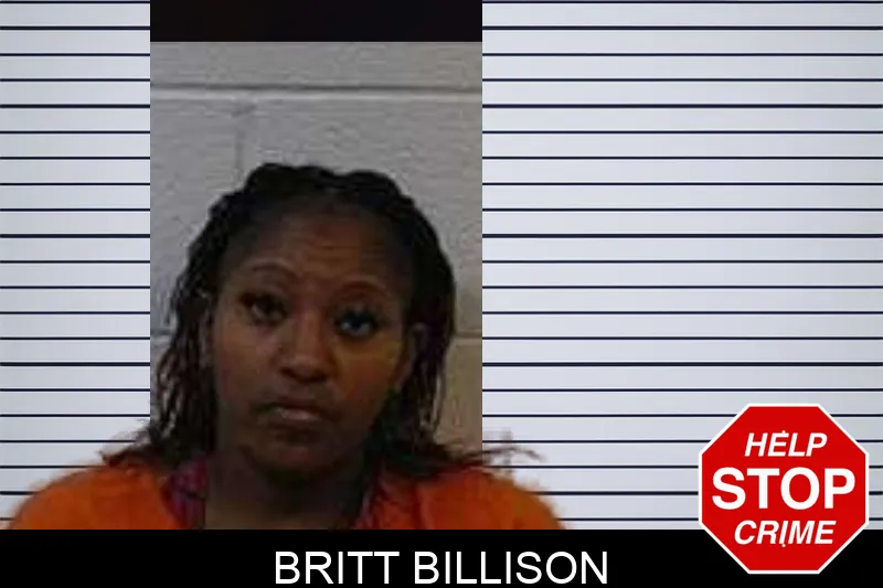 Britt Billison Mugshots