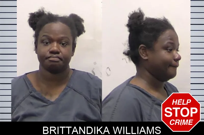 Brittandika Williams Mugshots