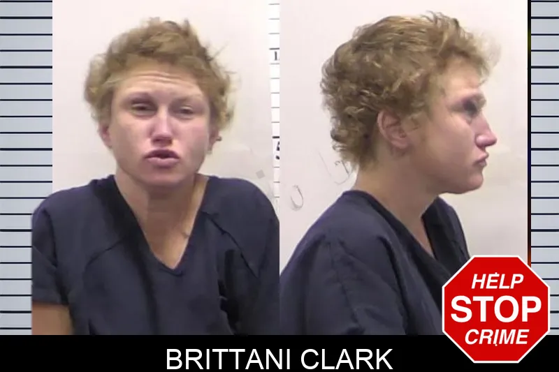 Brittani Clark Mugshots