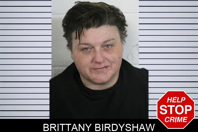 Brittany Birdyshaw Mugshots