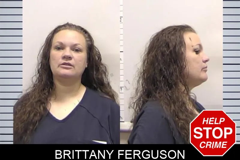 Brittany Ferguson Mugshots