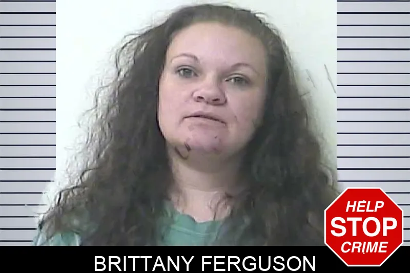 Brittany Ferguson Mugshots