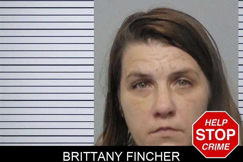 Brittany Fincher Mugshots
