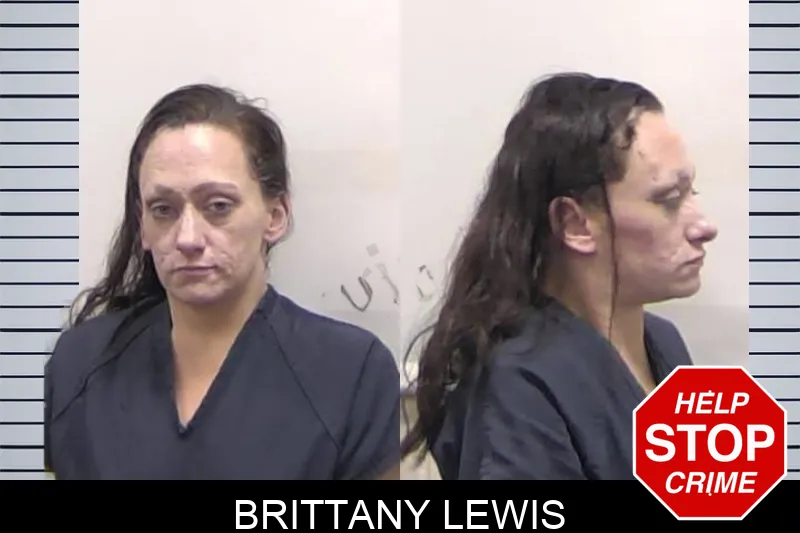 Brittany Lewis Mugshots