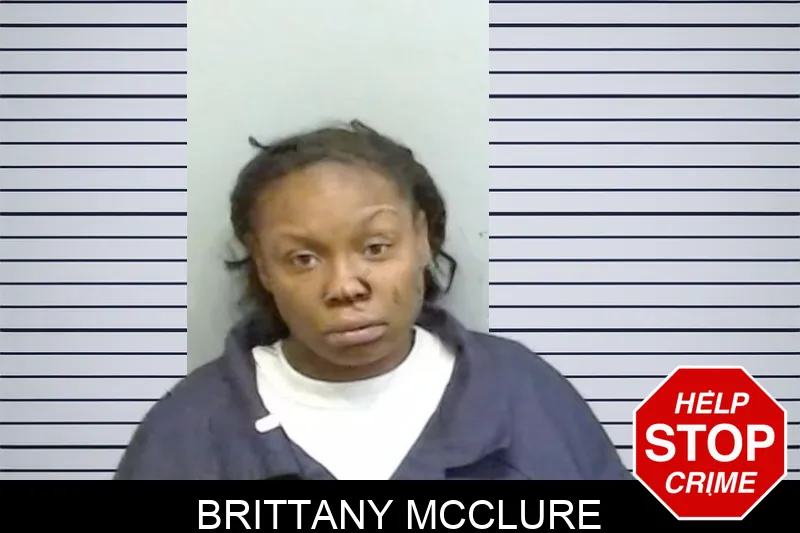 Brittany McClure Mugshots