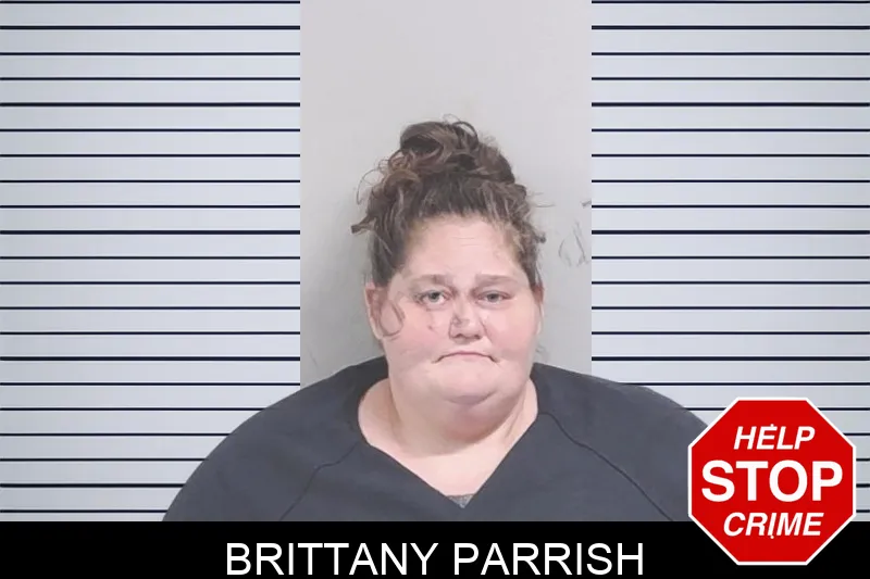 Brittany Parrish Mugshots