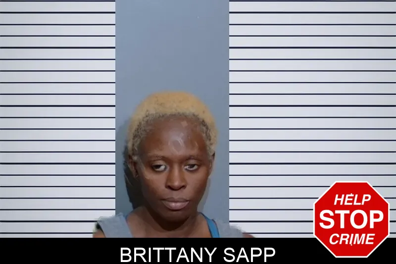 Brittany Sapp Mugshots