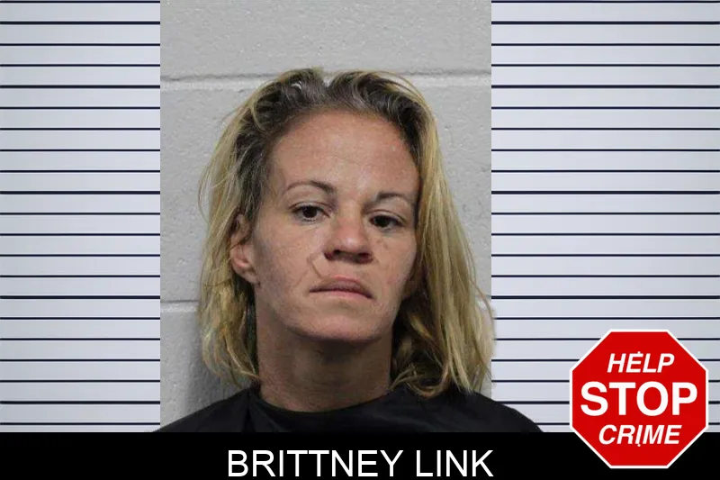 Brittney Link Mugshots