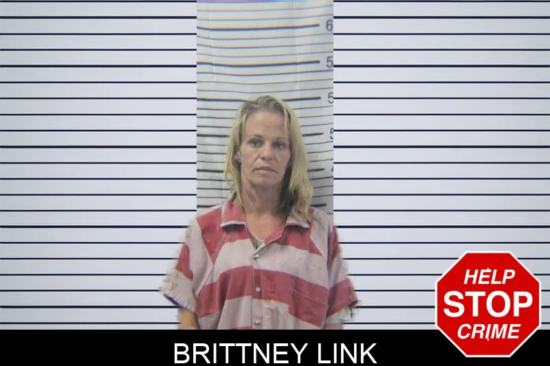 Brittney Link Mugshots