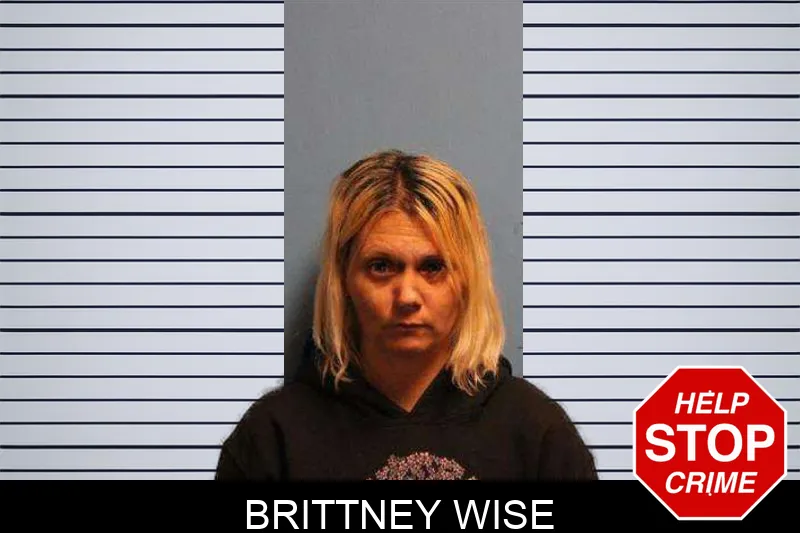 Brittney Wise Mugshots
