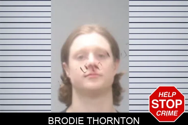Brodie Thornton