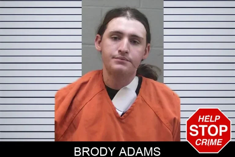 Brody Adams