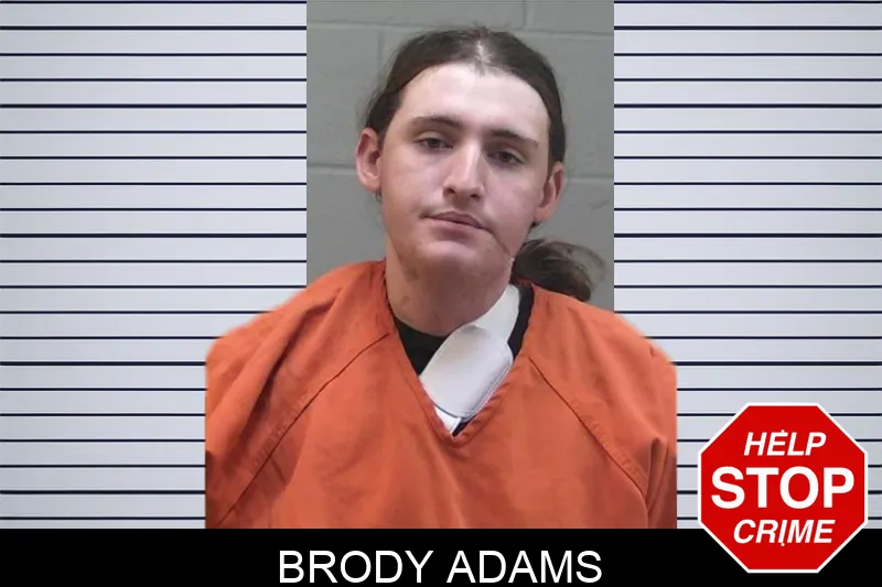 Brody Adams Mugshots