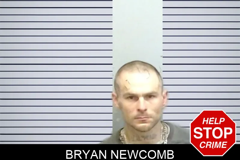 Bryan Newcomb Mugshots