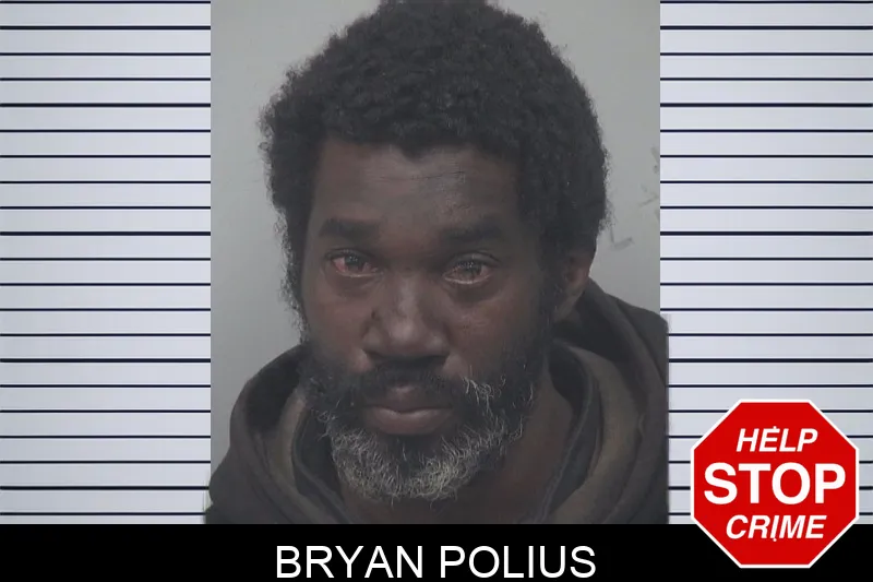 Bryan Polius mugshot – Gwinnett County , Georgia Bryan Polius mugshot