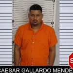 Caesar Gallardo Mendez Mugshots