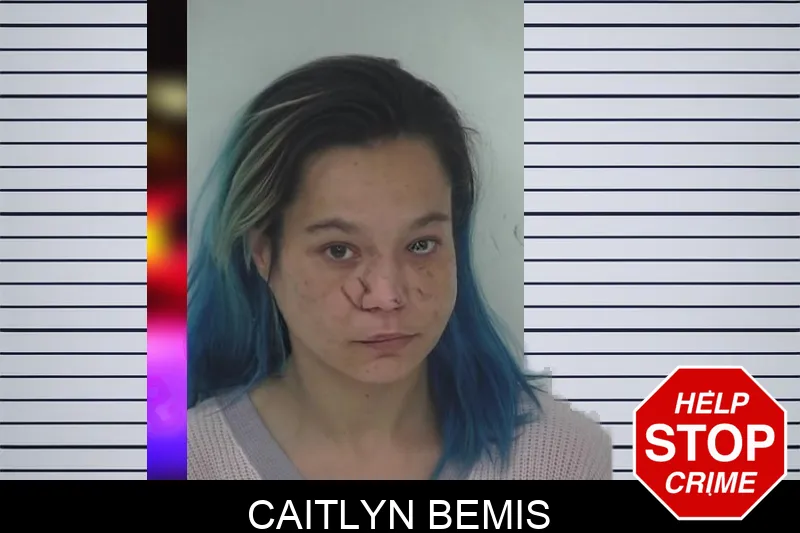 Caitlyn Bemis Mugshots