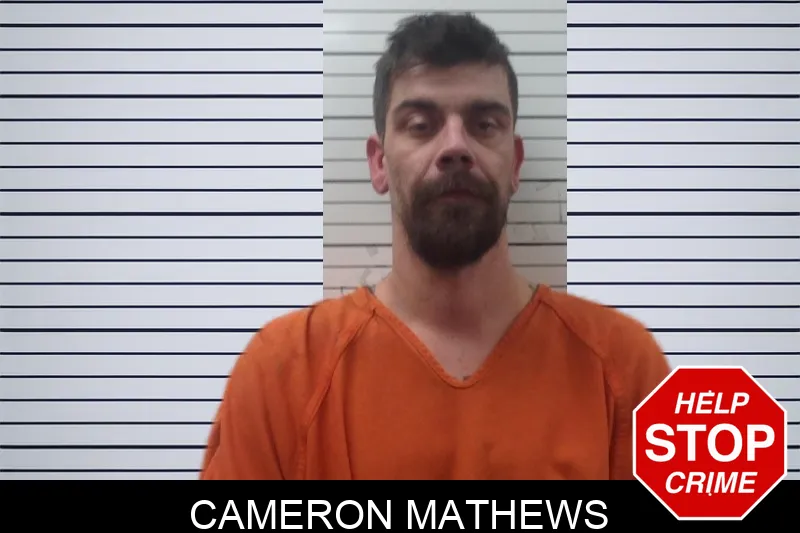 Cameron Mathews Mugshots