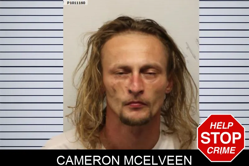 Cameron McElveen Mugshots