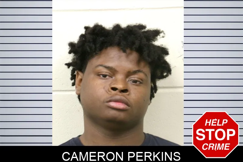 Cameron Perkins mugshot