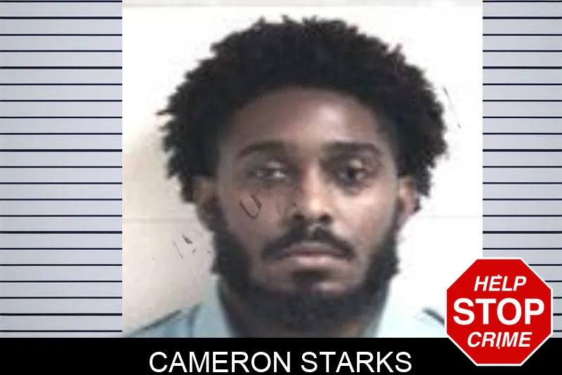 Cameron Starks Mugshots