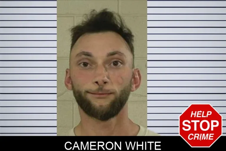 Cameron White mugshot – Liberty County , Georgia Cameron White