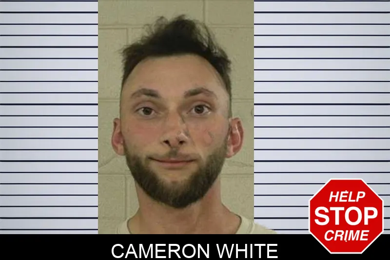 Cameron White Mugshots