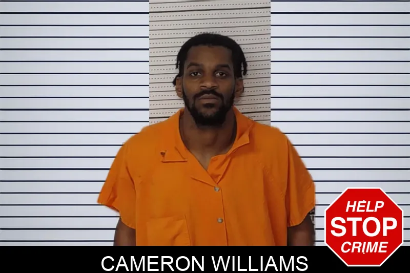 Cameron Williams Mugshots