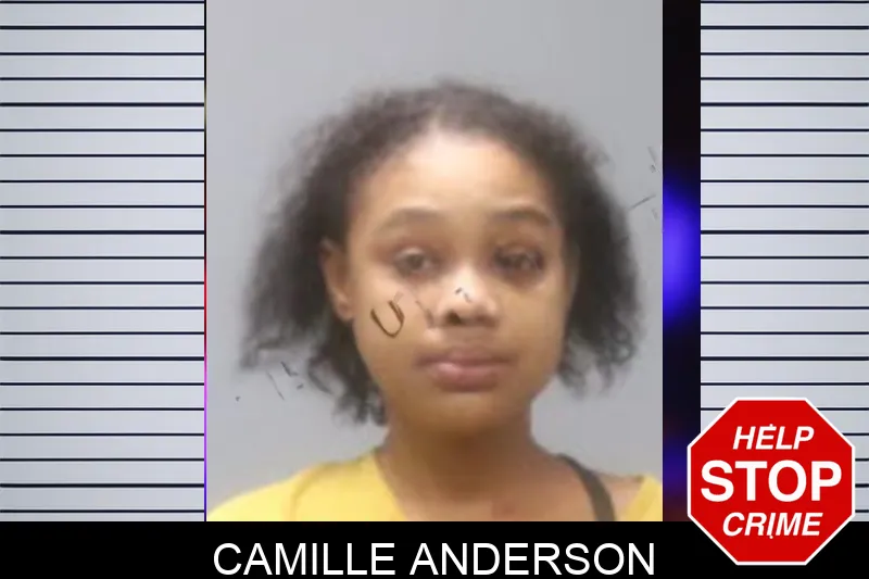 Camille Anderson Mugshots