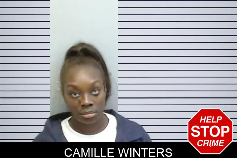 Camille Winters mugshot – Fulton County , Georgia Camille Winters mugshot