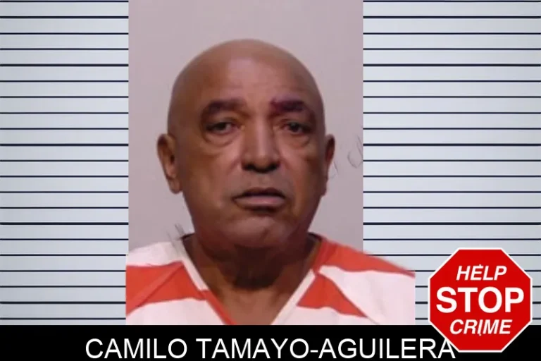 Camilo Tamayo-Aguilera