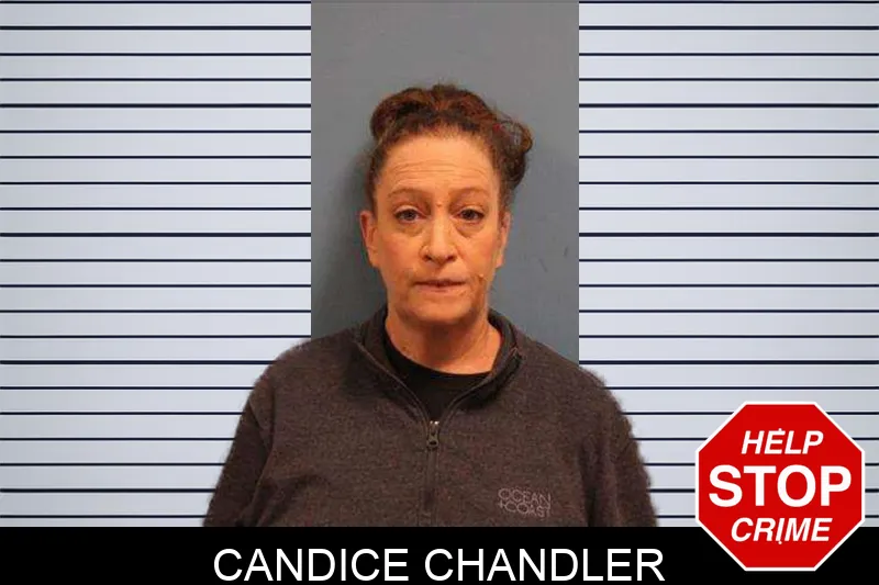 Candice Chandler Mugshots