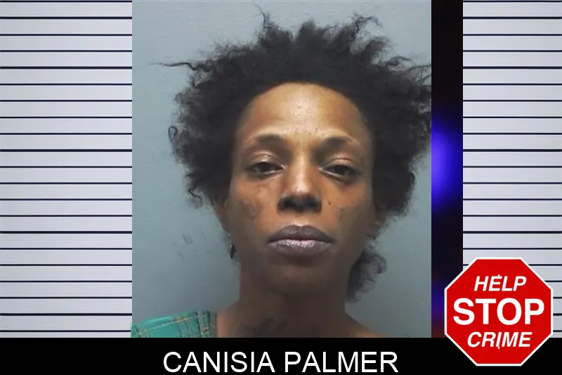 Canisia Palmer mugshot