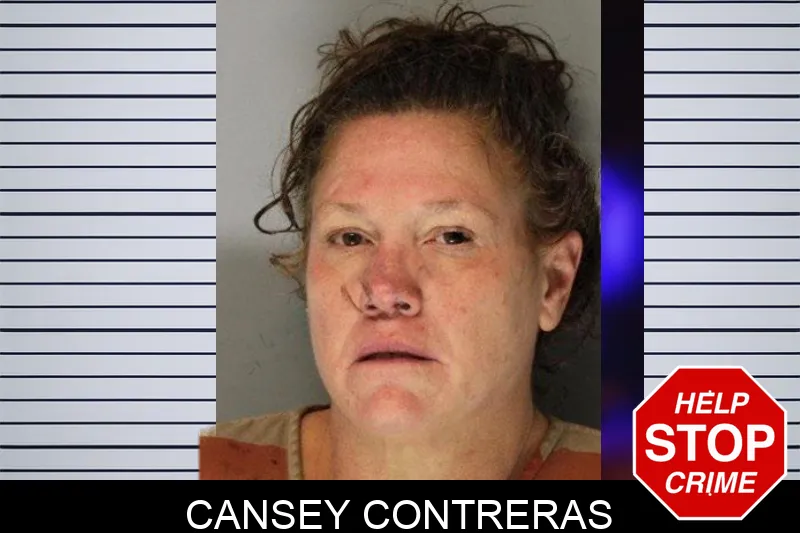 Cansey Contreras Mugshots