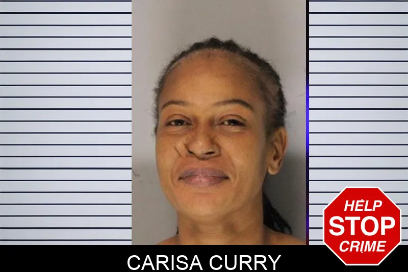 Carisa Curry Mugshots