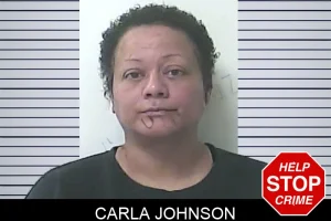 Carla Johnson mugshot